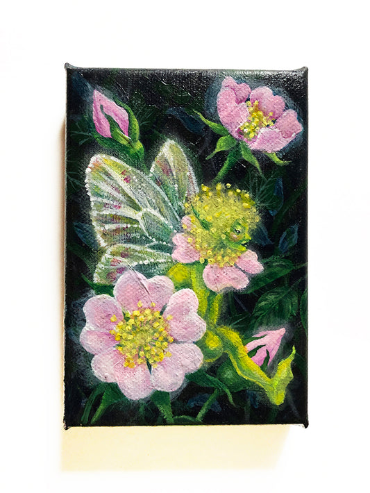 ‘Dogrose Pixie’ Acrylic Painting on Canvas