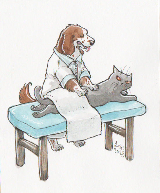 Cat Packs Watercolour Illustrations