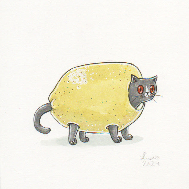 Cat Packs Watercolour Illustrations